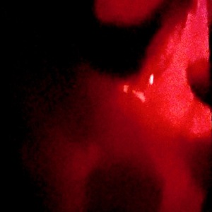 UNKNOWN.TRACERT - 25 of 69