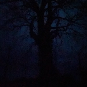 darkAll - shiftrequest.art - 28 of 161
