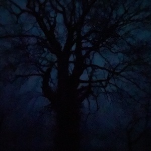 darkAll - shiftrequest.art - 29 of 161